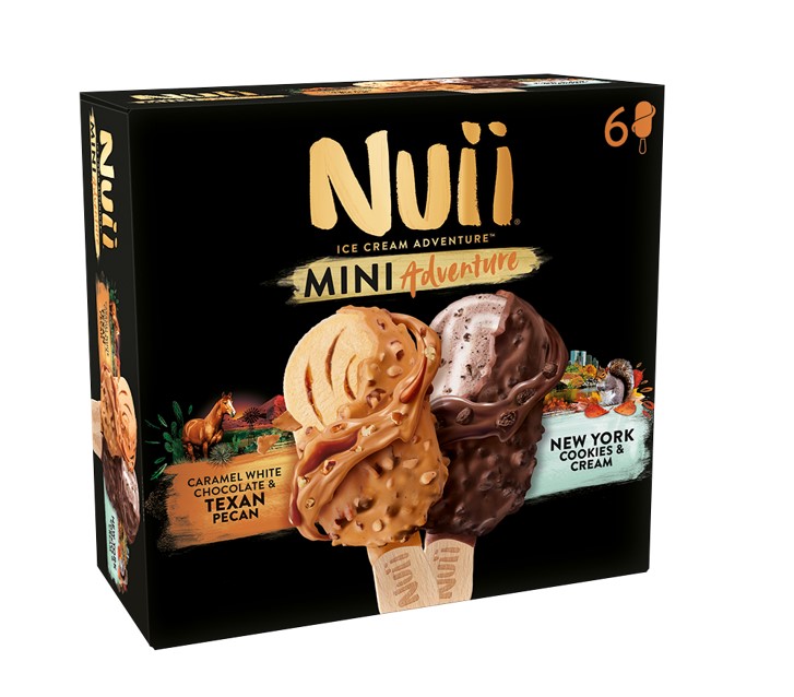 Froneri Παγωτό Texan Pecan & NY Cookies Nuii Mini (2X(3X55ml))