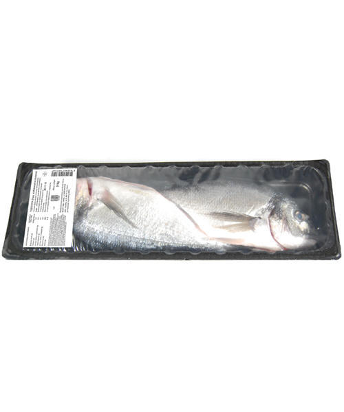 Τσιπούρα Νωπή 2τεμ Select Fish (ελάχιστο βάρος 800g)