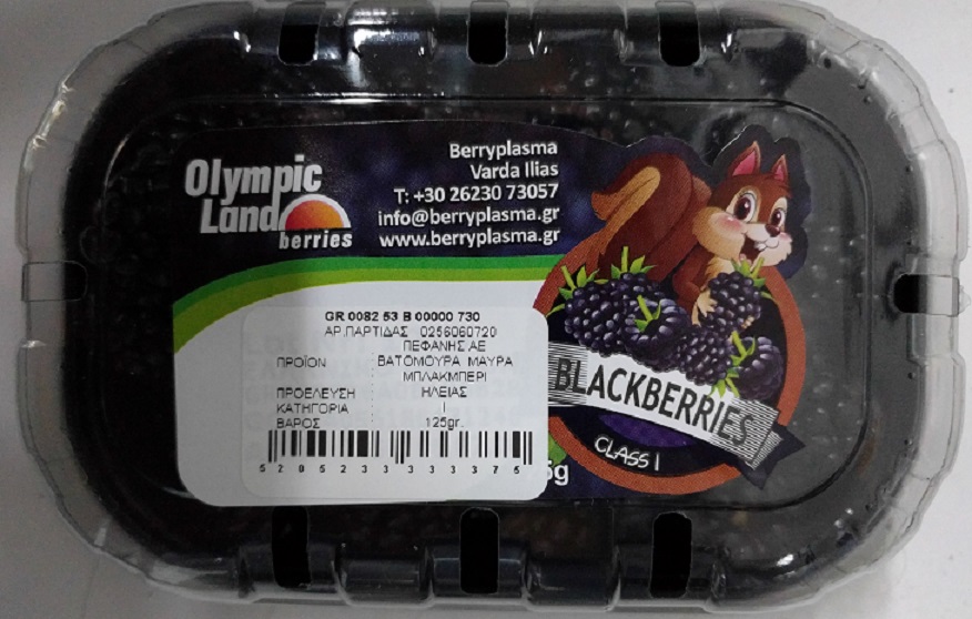 Blackberries Εισαγωγής Πεφάνης (125g)