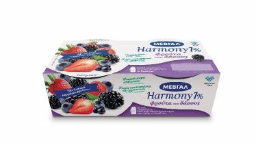 Μεβγάλ A.E. Επιδόρπιο Γιαουρτιού Harmony 1% λιπαρά Φρούτα του δάσους Μεβγάλ (2x170 g)
