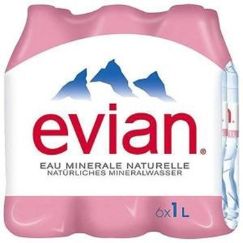 Νερό Φυσικό Μεταλλικό Evian (6×1 lt)