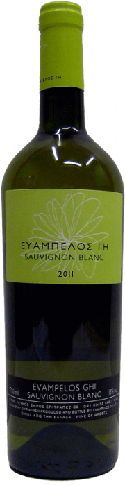 Οίνος Λευκός Sauvignon Blanc Ευάμπελος Γη (750 ml)