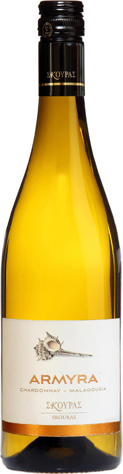 Οίνος Λευκός Salto Αρμύρα Κτήμα Σκούρας (750 ml)