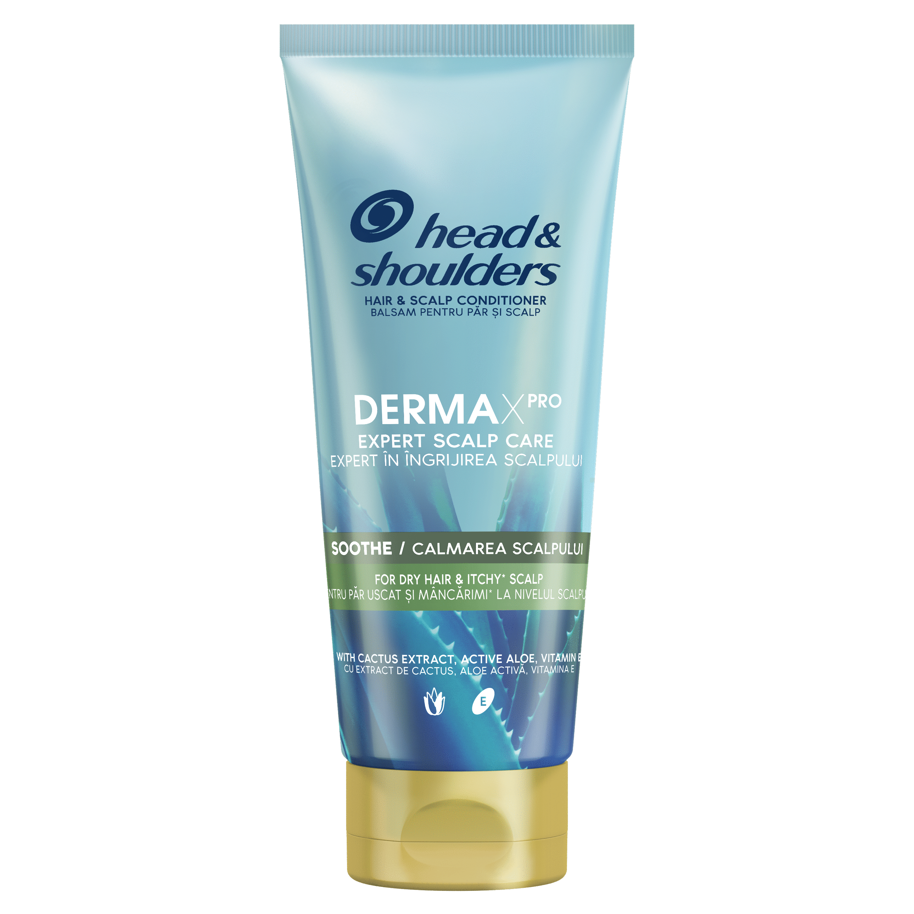 P&G Conditioner Derma X Sooth Αλόη Κάκτος Head&Shoulder (220ml)