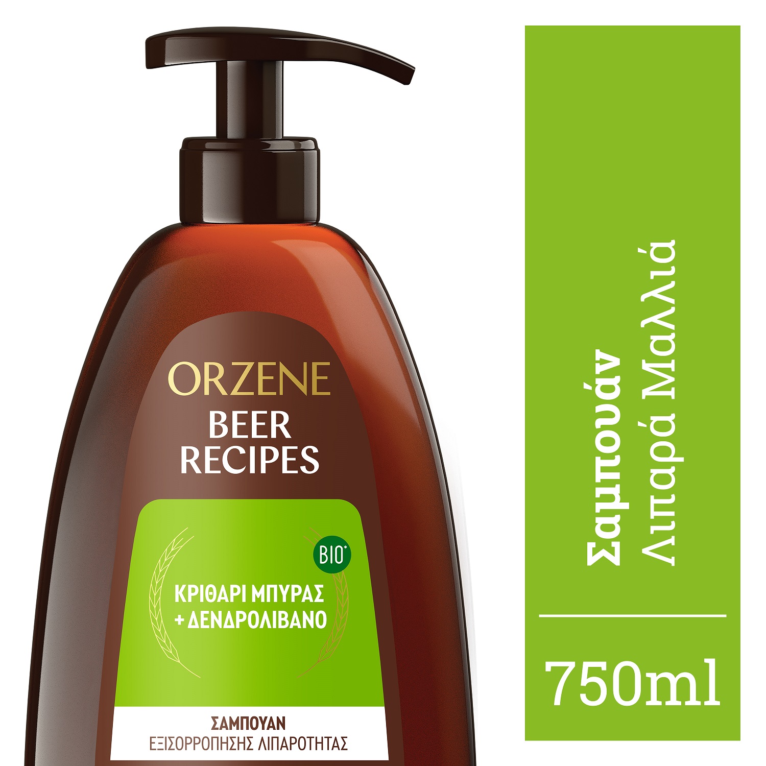 Σαμπουάν για Λιπαρά Μαλλιά Orzene (750ml) 