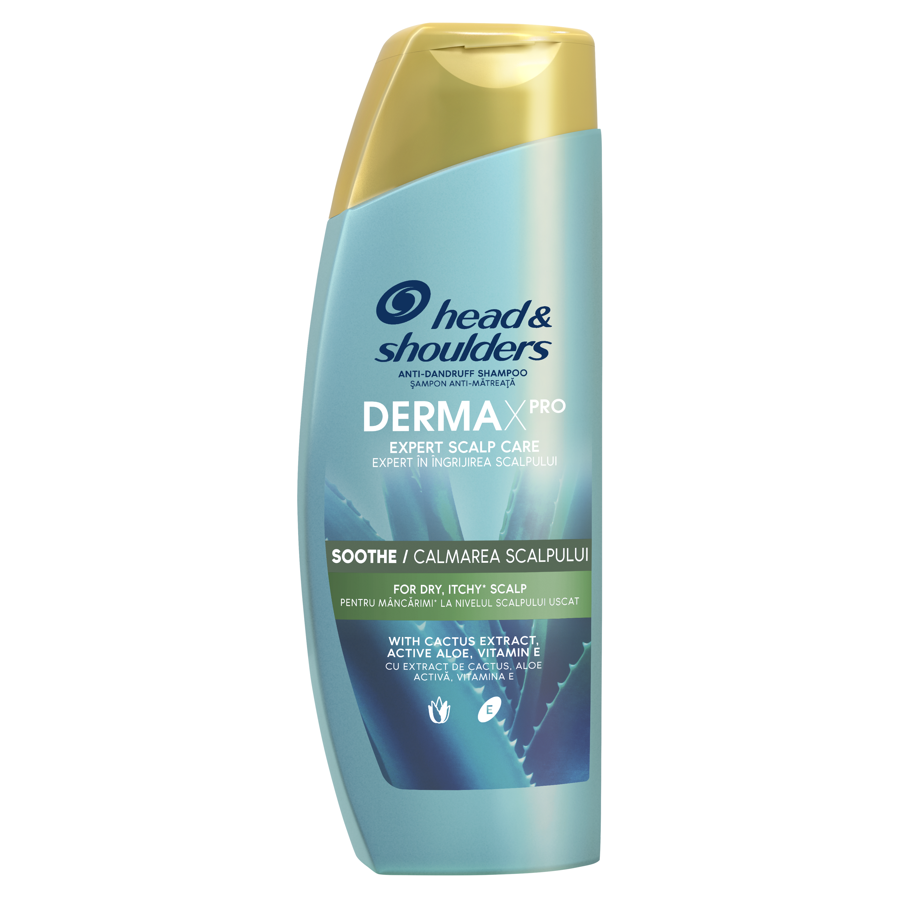 P&G Σαμπουάν Derma X Sooth Αλόη Κάκτος Head&Shoulder (300ml)