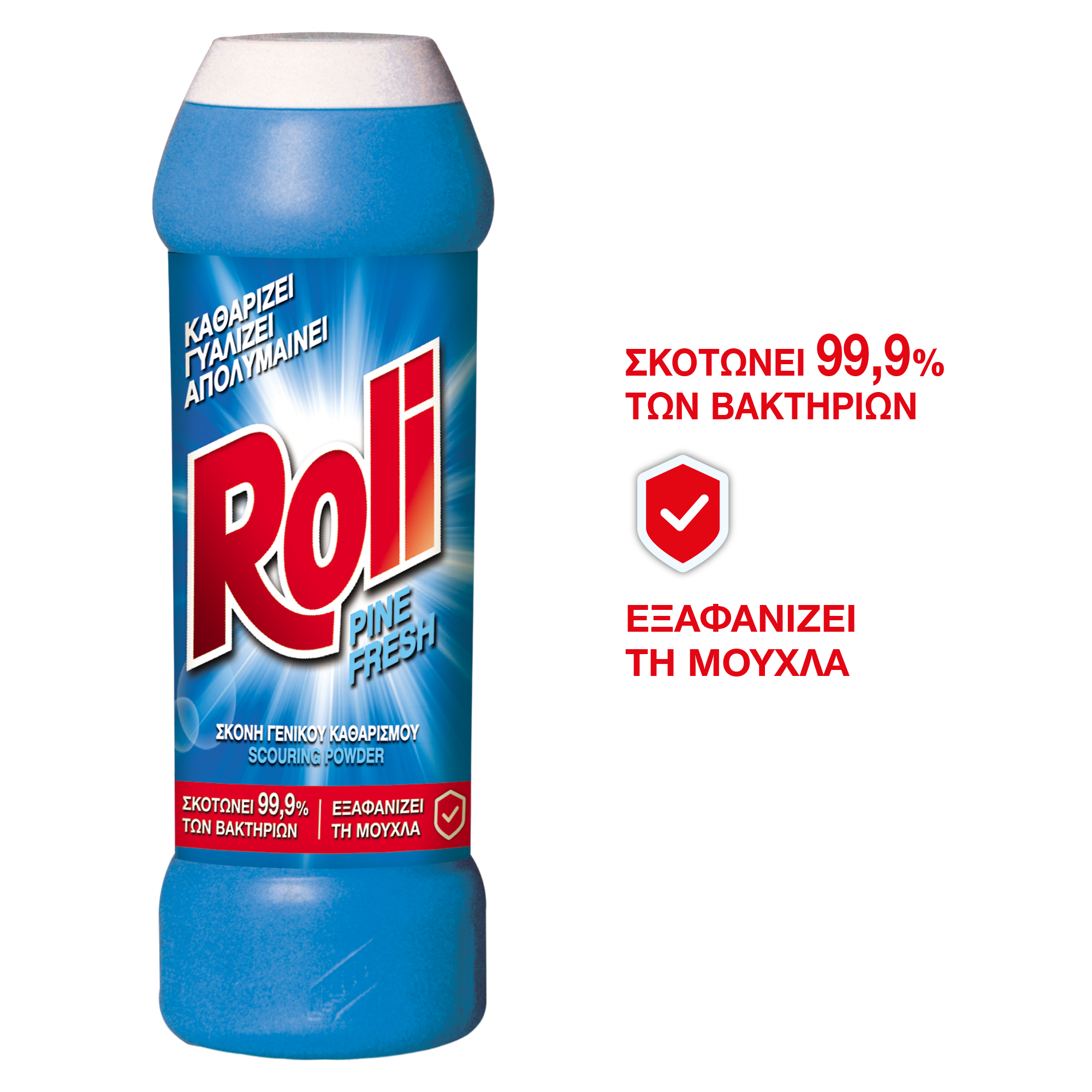 Rolco Σκόνη γενικού καθαρισμού Pine Roli (500g)