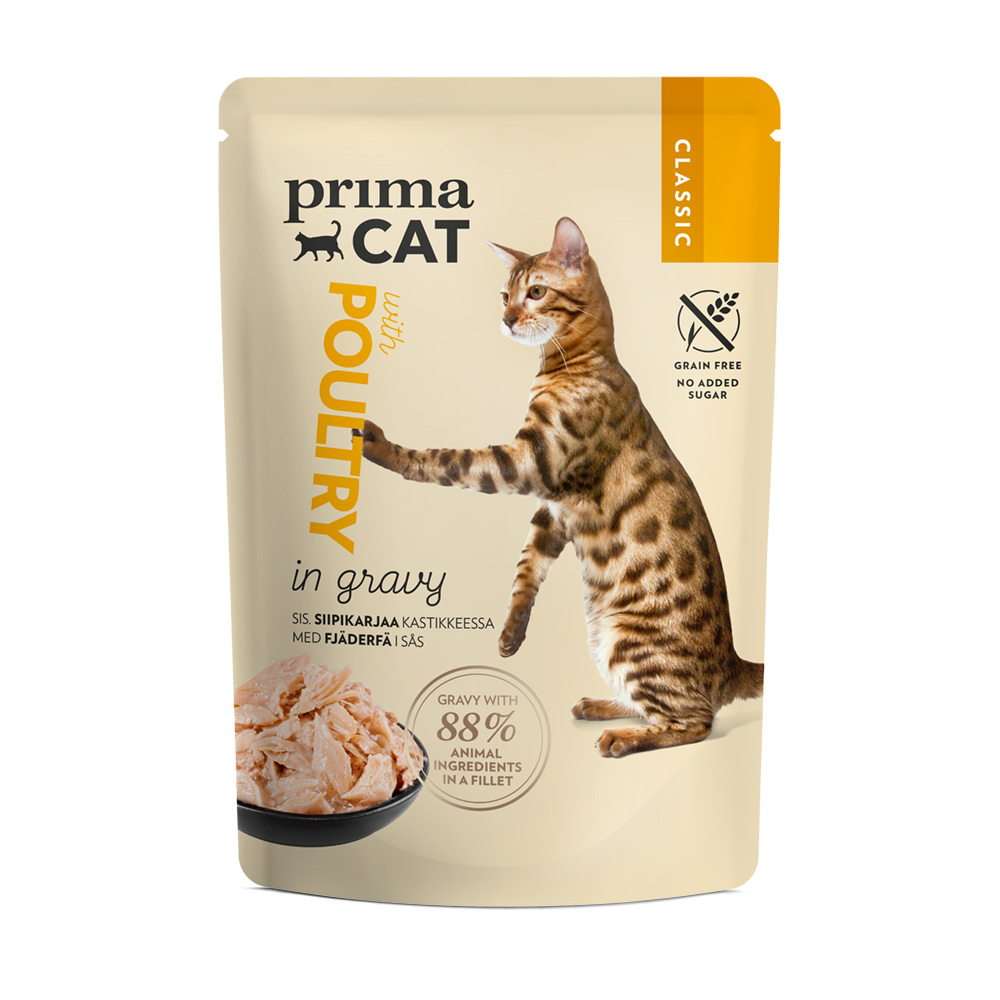 Sugar in cat food cheap