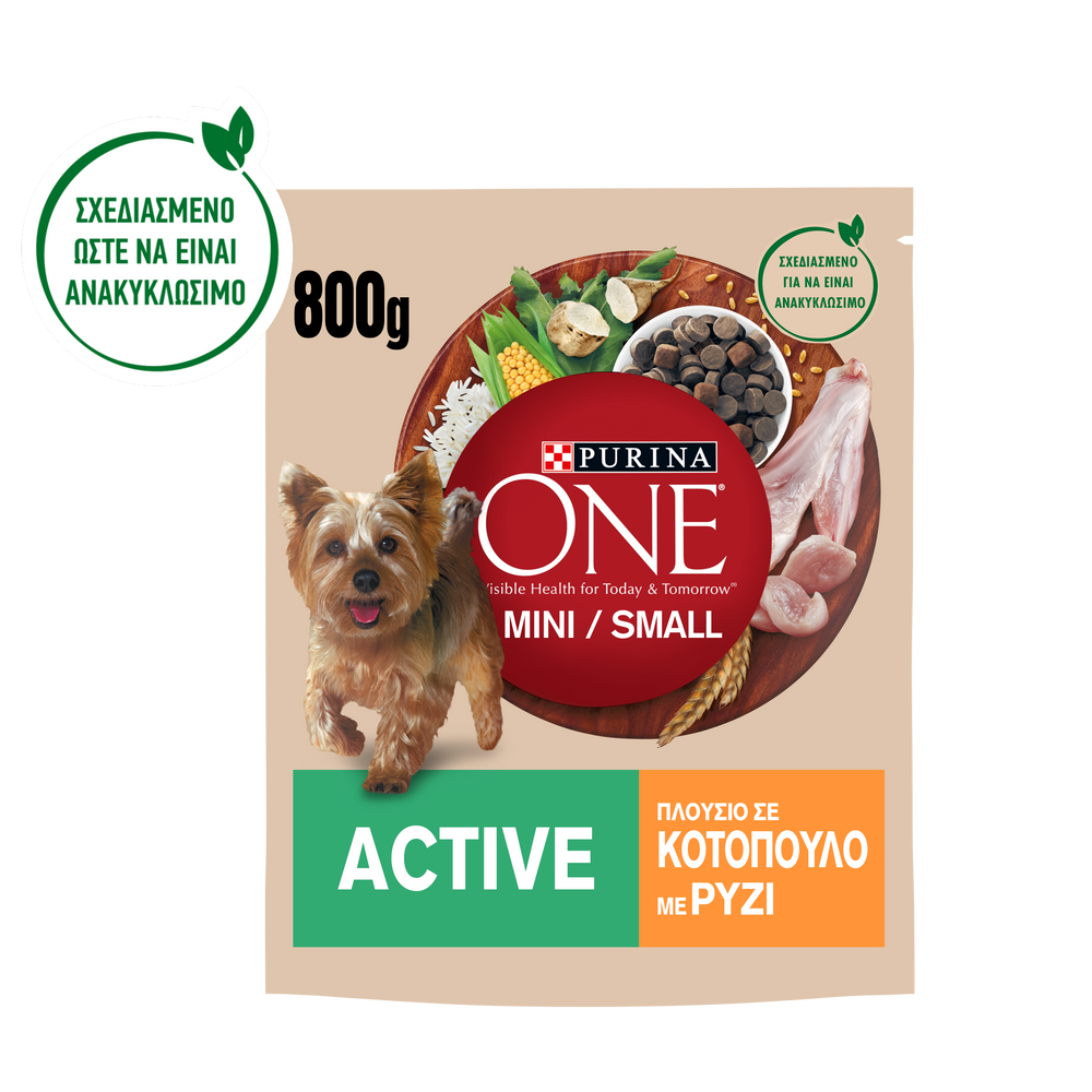 Purina one my dog is active clearance