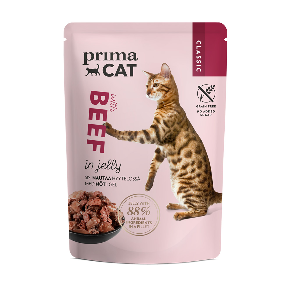 Sugar in cat food cheap