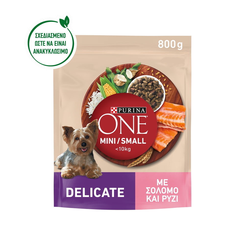Purina One Mini Delicate Salmon and Rice Dry Dog Food 800g