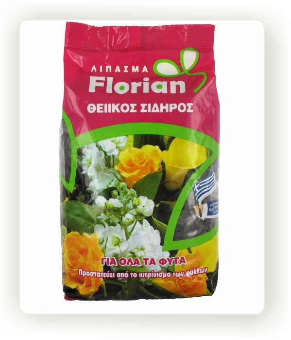 Θεϊκός Σίδηρος Florian (950 g)
