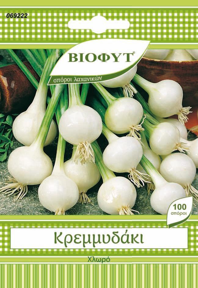 Σπόροι Κρεμμυδάκι Χλωρό Biofyt (100 σπόροι)