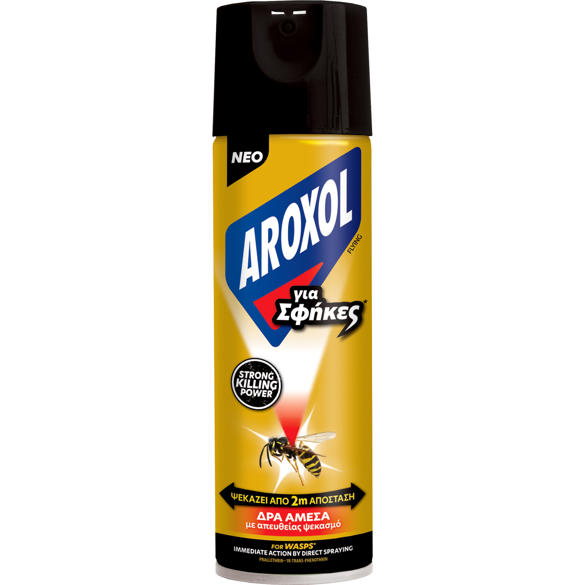 Εύρηκα Εντομοκτόνο Spray για Σφήκες Aroxol (300ml)