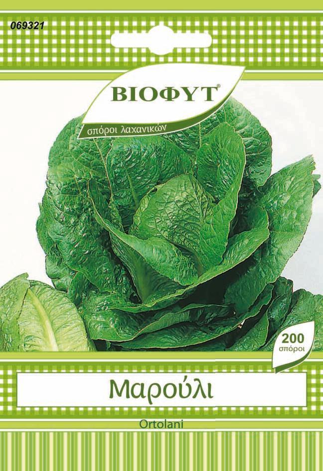 Σπόροι Μαρούλι Ortolani Biofyt (300 σπόροι)